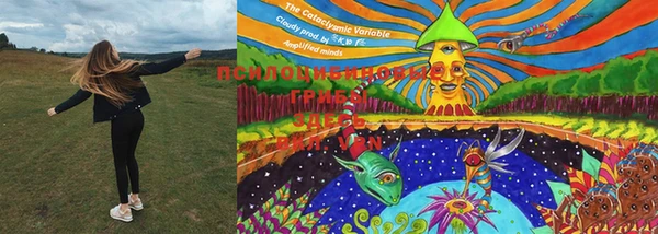 MESCALINE Вяземский