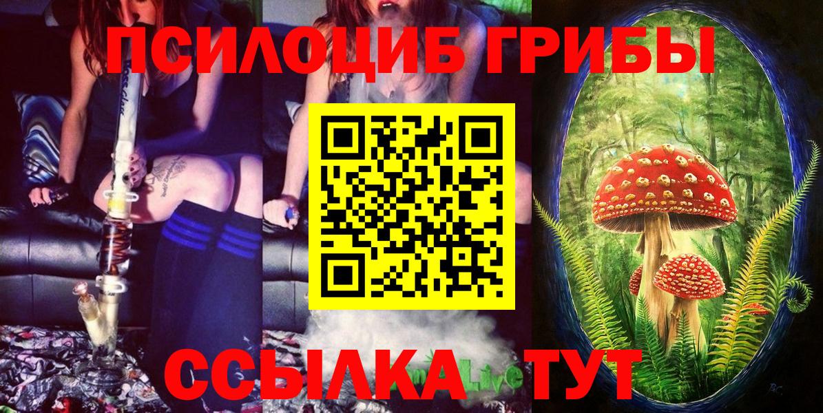 Елец  Псилоцибиновые грибы мухоморы  Вход с VPN  Галлюциногенные грибы ЛСД 