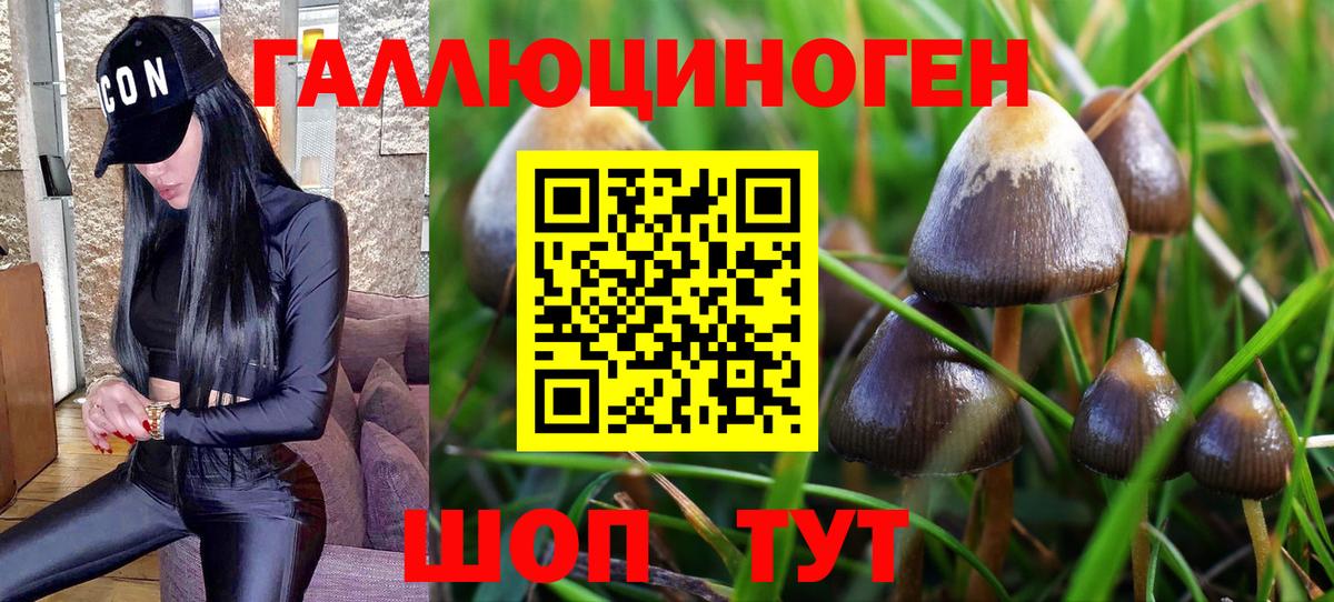 Галлюциногенные грибы MAGIC MUSHROOMS Елец